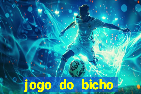 jogo do bicho crash bingo